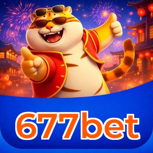 Resumo visual de bônus e campanhas 677bet